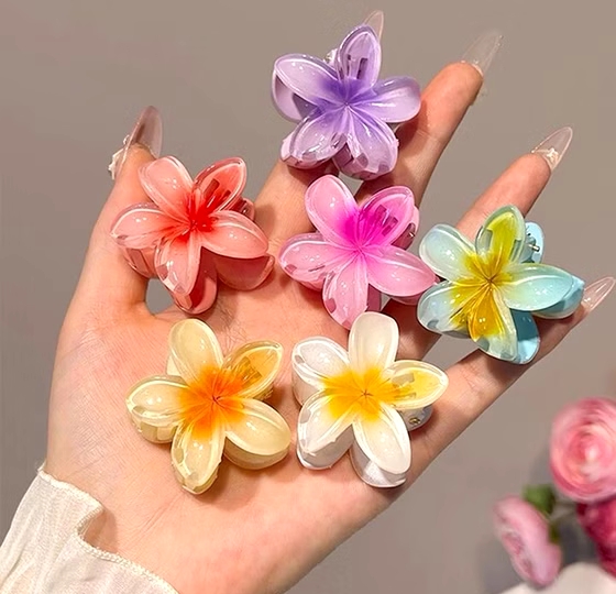 کلیپس پلومریا کوچک پک ۲عددی