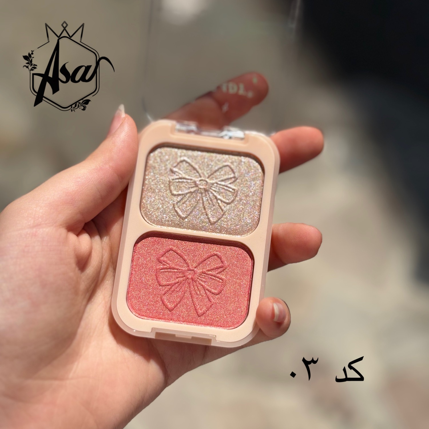 رژگونه و هایلایتر دو رنگ انی لیدی